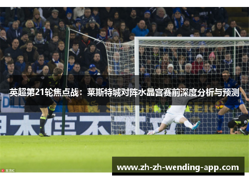 英超第21轮焦点战：莱斯特城对阵水晶宫赛前深度分析与预测