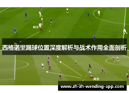西格诺里踢球位置深度解析与战术作用全面剖析