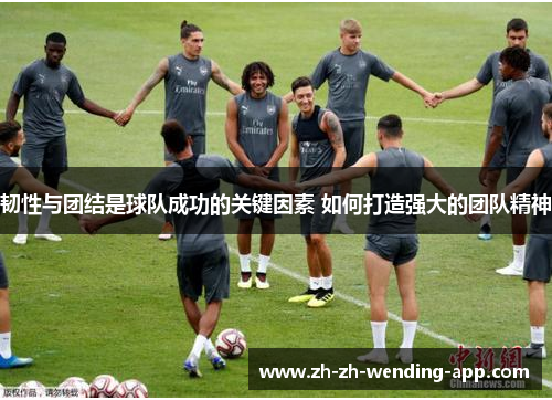 韧性与团结是球队成功的关键因素 如何打造强大的团队精神