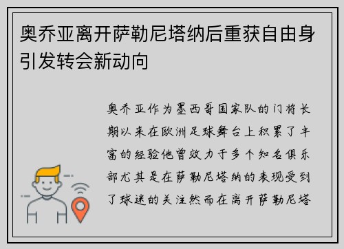 奥乔亚离开萨勒尼塔纳后重获自由身引发转会新动向